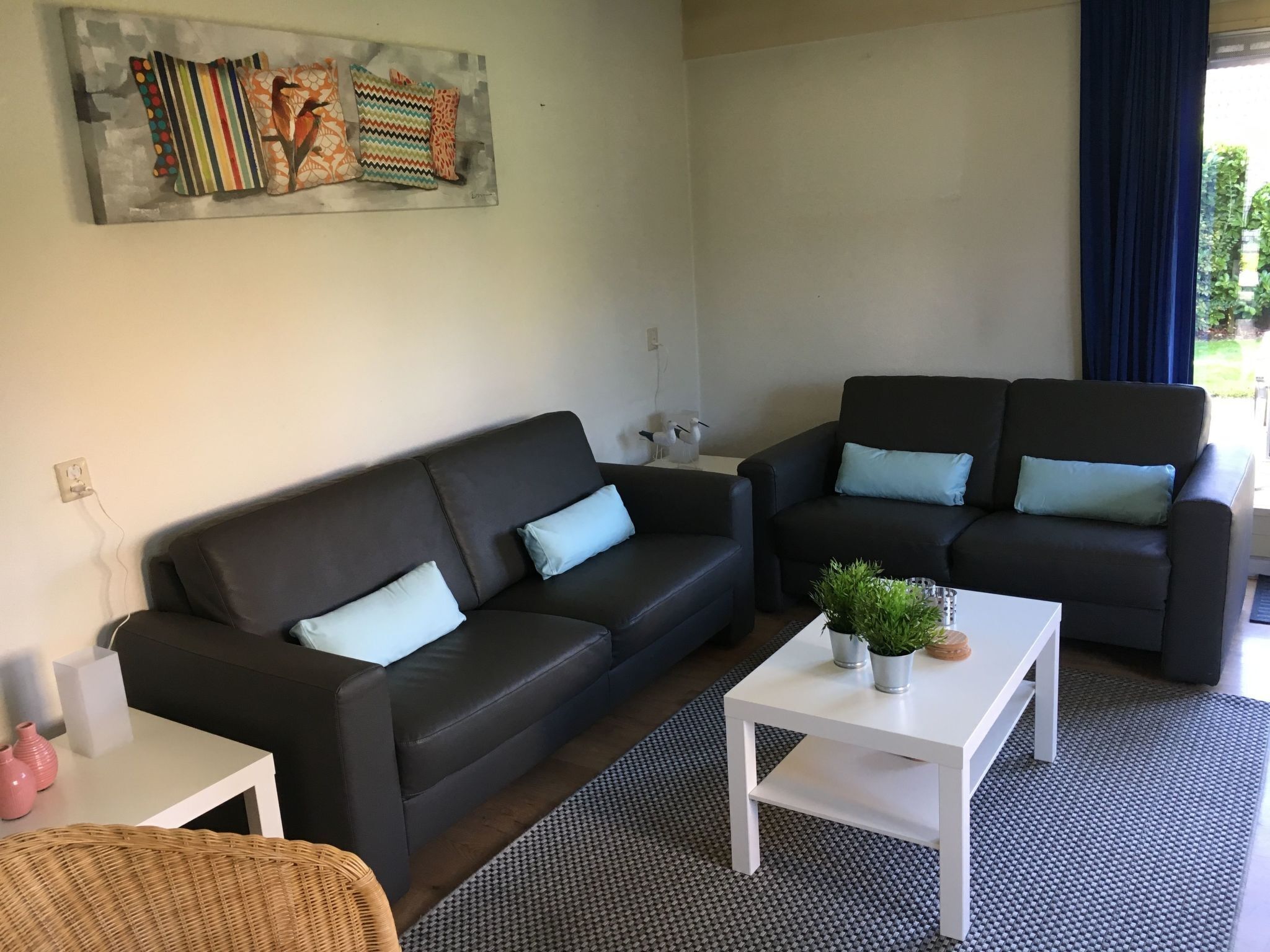 电视、DVD 播放器