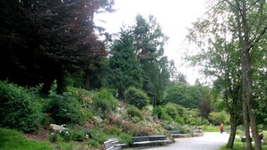 Un sendero en un parque con bancos y árboles.
