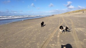 A beach with footprints and tire tracks, a dog running, and a person in the distance. - mit Garten, Grill und Terrasse by Interhome (Julianadorp aan zee)