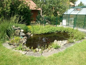 Un pequeño estanque con rocas y plantas, rodeado por una cerca verde y un invernadero.