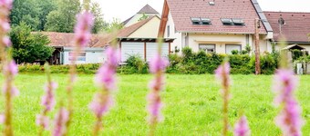 für 2 Personen  + 1 Kind ca. 45 m² in Stubenberg am See, Steiermark (Ostst by Interhome