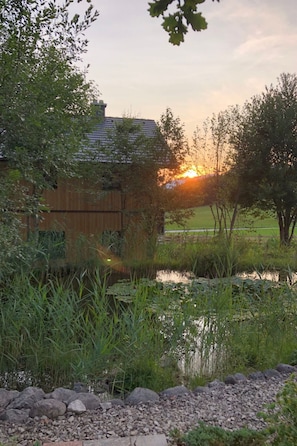 Eine rustikale Holzhütte mit geneigtem Dach, umgeben von einem Teich und dichter Vegetation.
