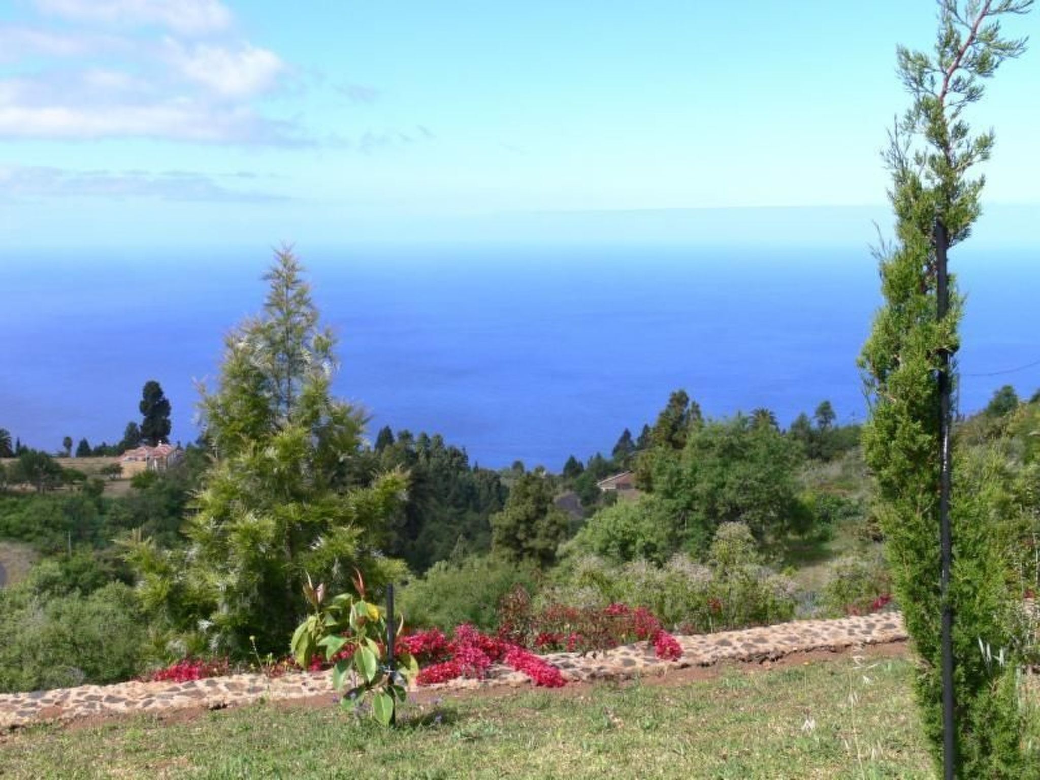 Un paisaje costero con una vista despejada del mar, un sendero de piedra y diversos árboles y arbustos.