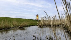 Una masa de agua tranquila con pastos altos en primer plano, una colina cubierta de hierba al fondo y un faro.