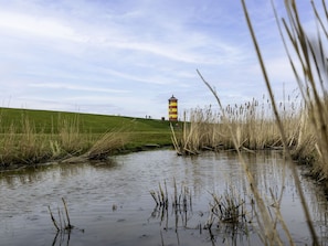 Ruhiges Gewässer mit hohem Gras im Vordergrund, eine grasbewachsene Hügelkette im Hintergrund und ein Leuchtturm.