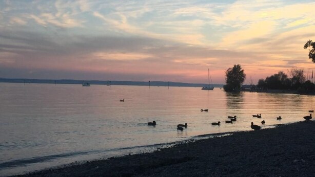 Ein ruhiger See bei Sonnenuntergang mit Booten und Enten auf dem Wasser.