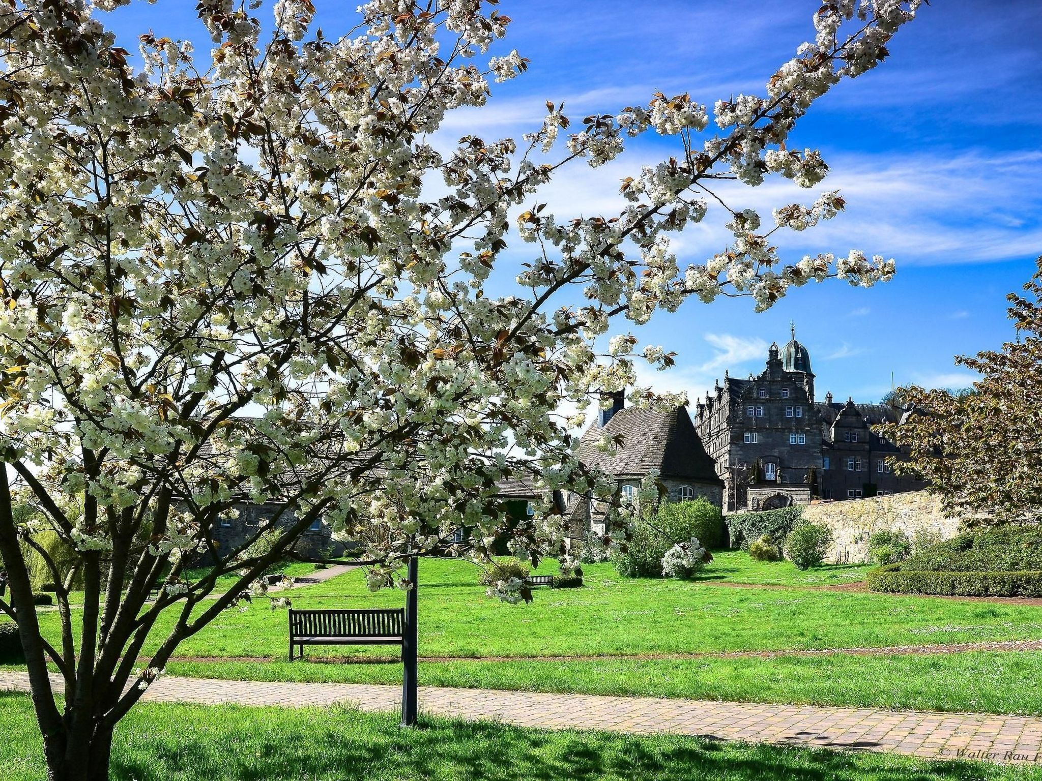 Terrain de l’hébergement 