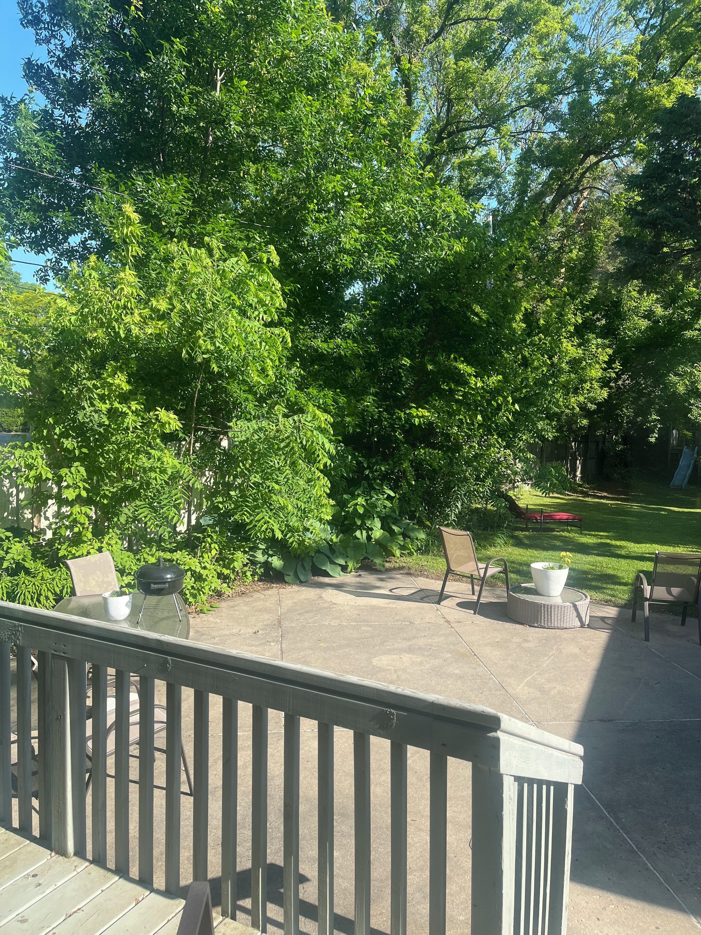 Enceinte de l’hébergement