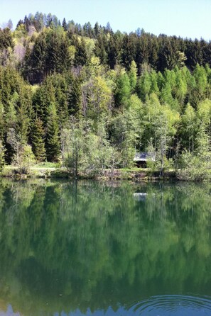 Ein ruhiger See, umgeben von dichtem Wald, mit einer kleinen Hütte im Hintergrund.