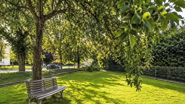 A park with a bench, trees, and a fence.