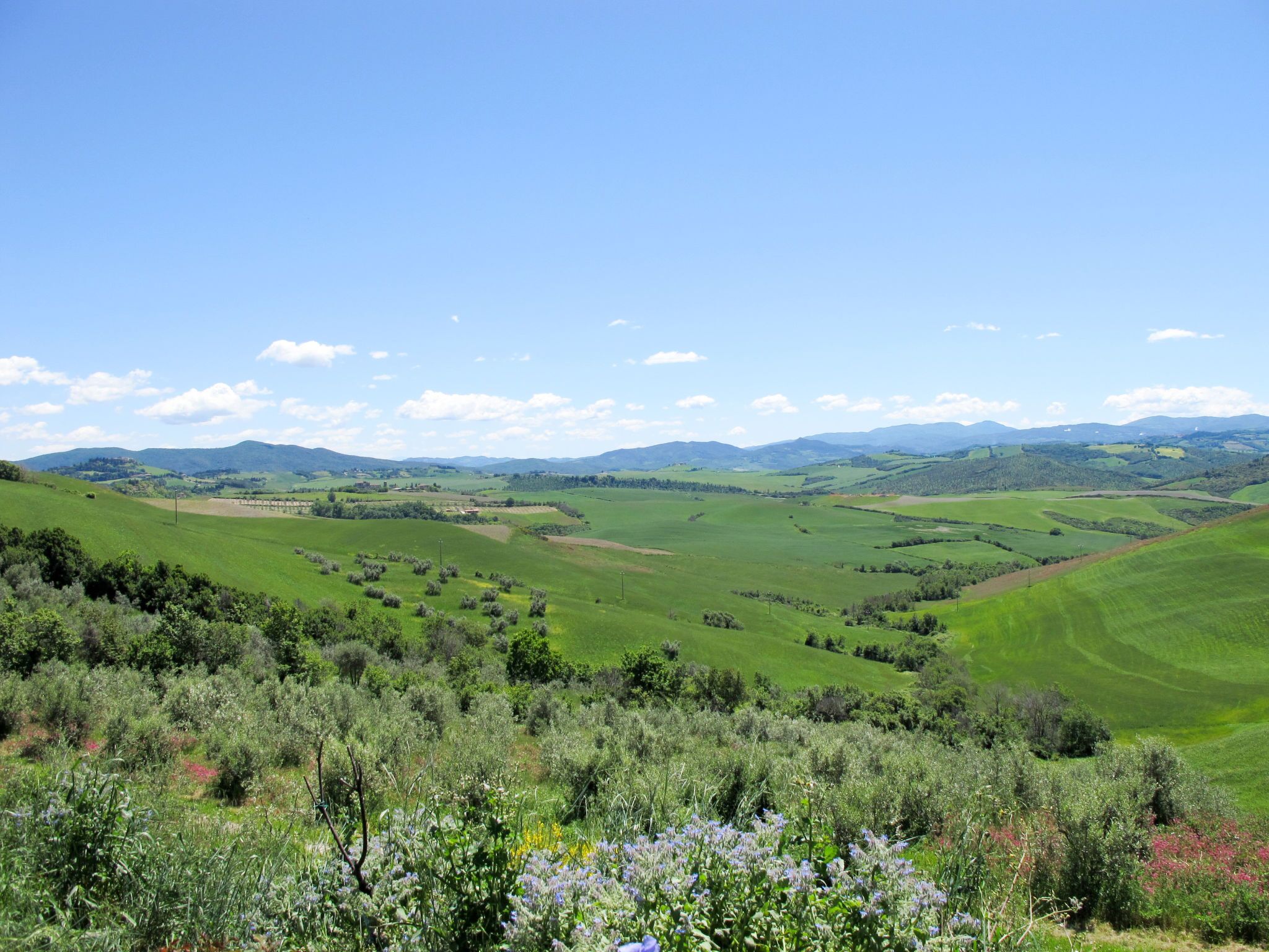 Une vue panoramique d’une vallée verdoyante, avec des collines ondoyantes et des montagnes lointaines, sous un ciel dégagé.