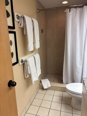 Shower, hair dryer, towels, soap - Spacious 2-bedroom condo in beautiful Palm Harbor with ALL the amenities! (Palm Harbor)