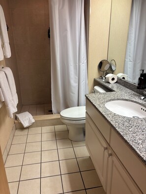 Shower, hair dryer, towels, soap - Spacious 2-bedroom condo in beautiful Palm Harbor with ALL the amenities! (Palm Harbor)