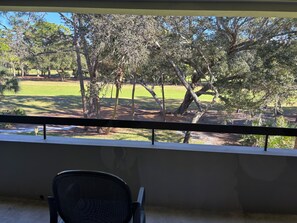 Property grounds - Spacious 2-bedroom condo in beautiful Palm Harbor with ALL the amenities! (Palm Harbor)