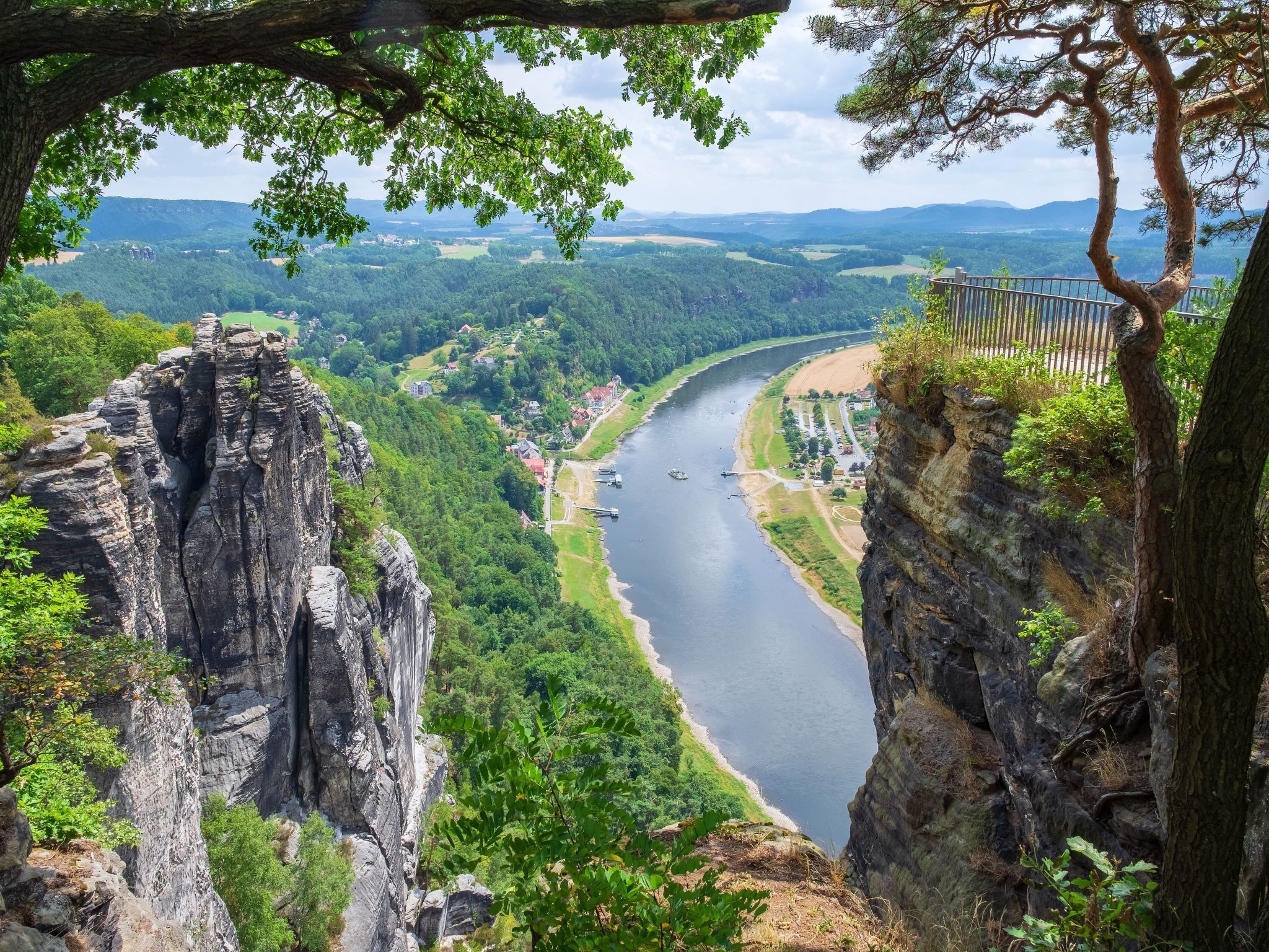 Une vallée fluviale avec une falaise rocheuse et un arbre au premier plan.