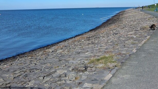 Ein Küstenweg mit steinbeschriebenem Pfad zum Meer, bewölkter Himmel und ein Schiffen am Horizont.