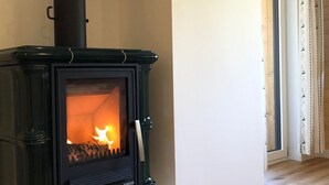 Ein moderner Holzofen mit Schornstein, platziert in einem Raum mit Holzboden und einer schlichten Wand.