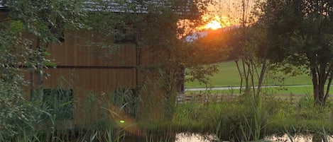A rustic cabin with a sloped roof, surrounded by a pond, dense greenery, and a clear sky.