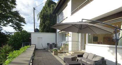 Großzügige Wohnung mit Terrasse und Rheintalblick by Interhome