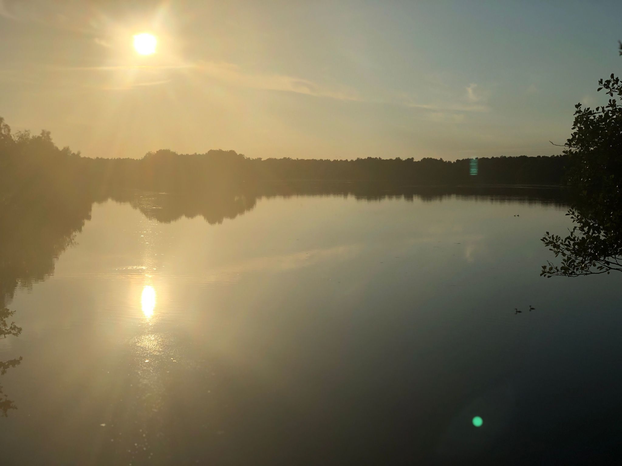 Een rustig meer met zonlicht dat op het water reflecteert, omringd door bomen en een heldere lucht.