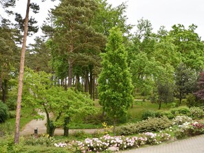 Property grounds - in Ostseebad Baabe by Interhome (Baabe)