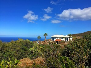 Ein Küstenhaus mit Meerblick, umgeben von Pflanzen und Kakteen.