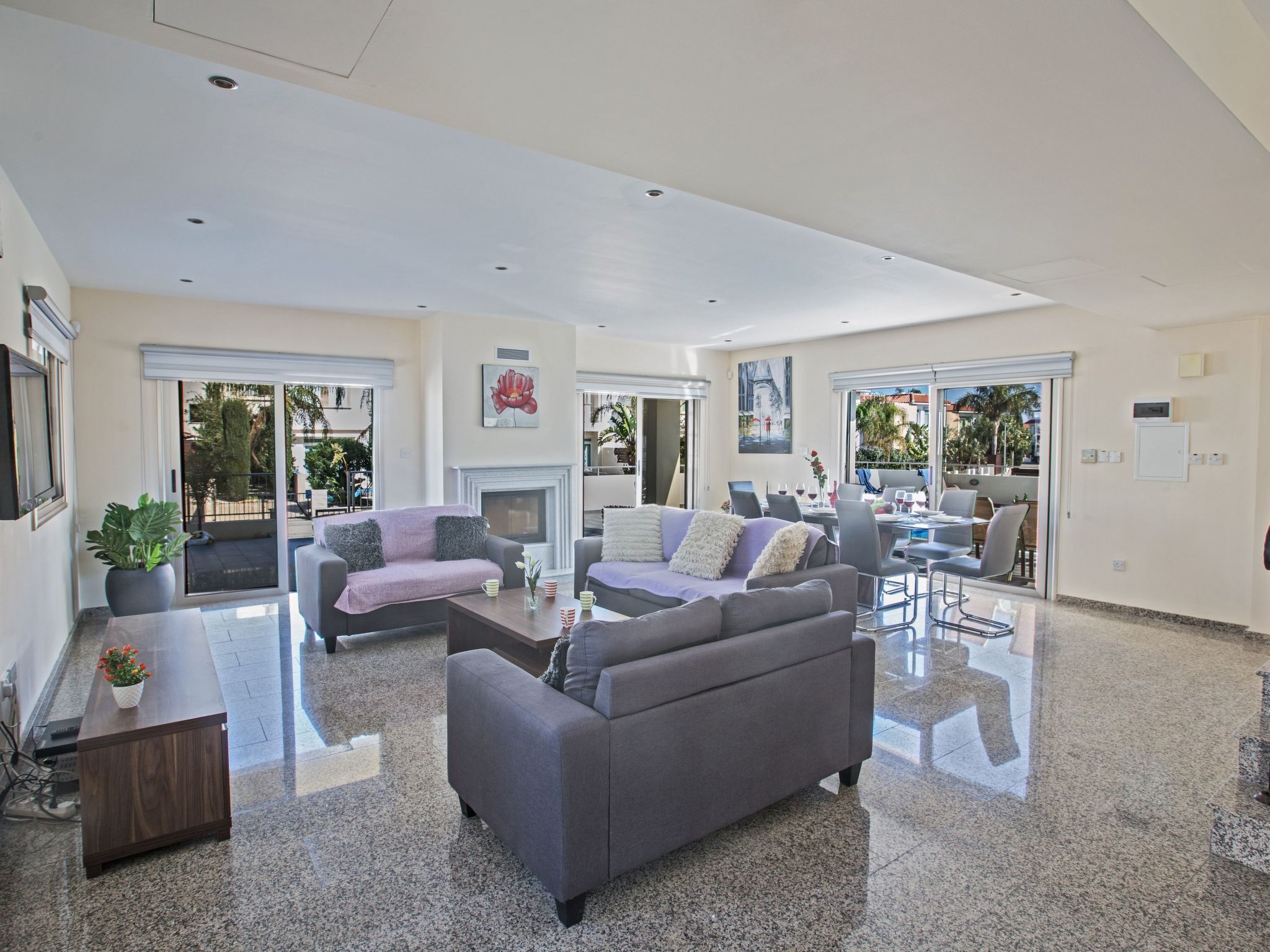 Televisión, chimenea y reproductor de DVD 