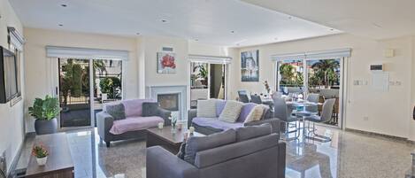 Televisión, chimenea y reproductor de DVD