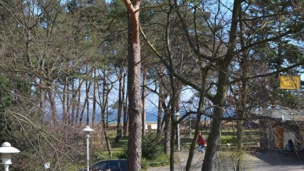 A park with trees, a lamp post, and a car. - Rügenzauber in Ostseebad Baabe by Interhome (Baabe)