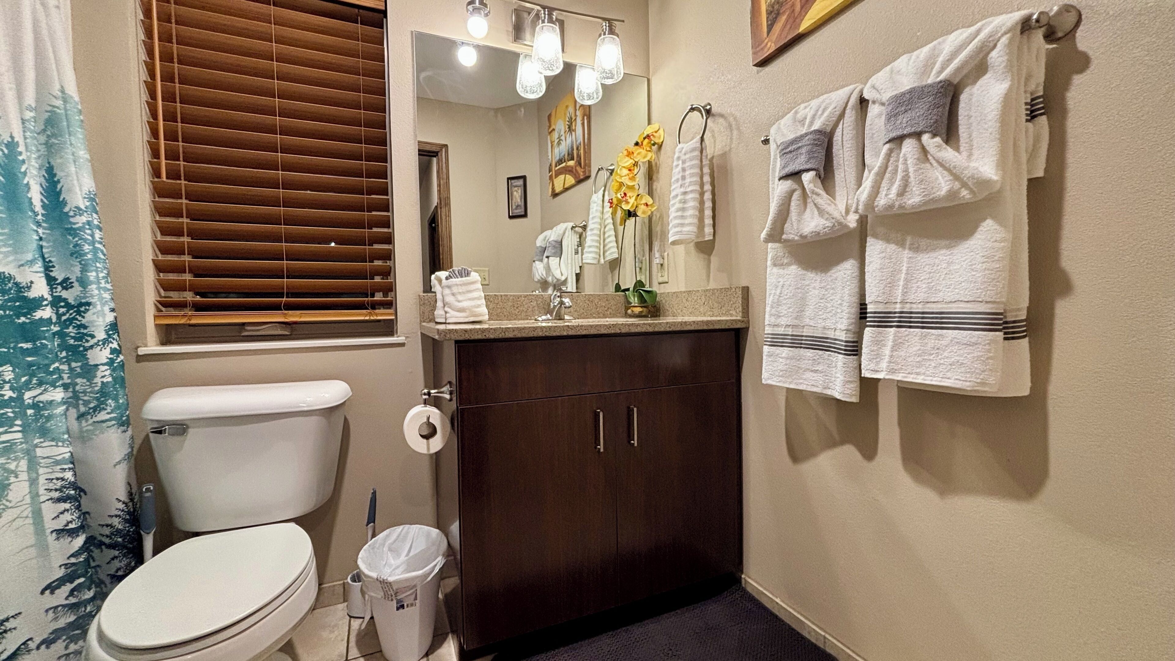 Hair dryer, towels, soap, toilet paper