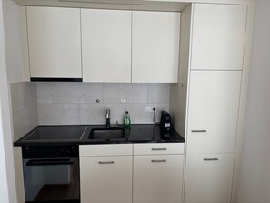 Fridge, oven, dishwasher, cookware/dishes/utensils - Chesa In Selva by Interhome (St. Moritz)