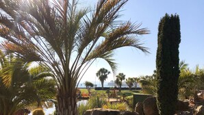 Un jardin aménagé avec des palmiers, un grand conifère et un plan d’eau.