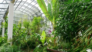 A greenhouse with a wooden bench surrounded by lush greenery and various plants. - Helle Wohnung in Torquay mit Garten by Interhome (Torquay)