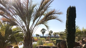 Een aangelegde tuin met palmbomen, een hoge conifeer en een waterpartij.