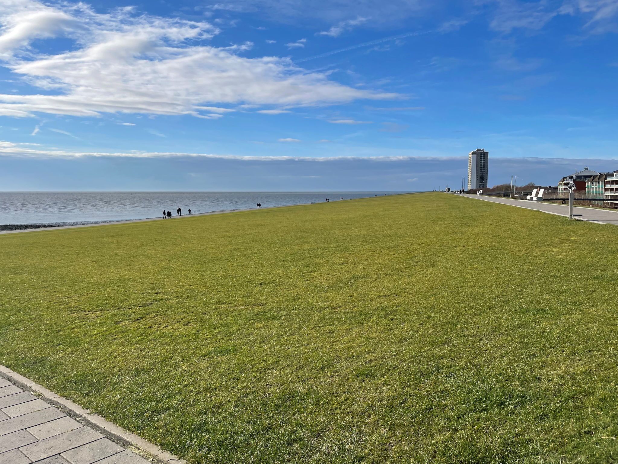 A grassy park area with a paved walkway, a body of water, and buildings in the background.