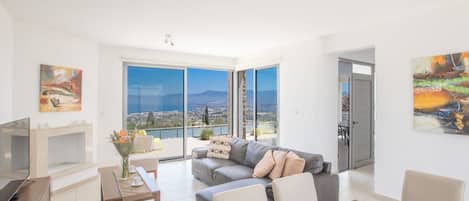 Televisión, chimenea y reproductor de DVD