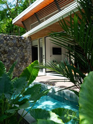 A modern house with a stone wall, a swimming pool, and lush greenery. - 400 m from Playa Negra, 3 bedrooms with air conditioning, swimming pool (Puerto Viejo de Talamanca)