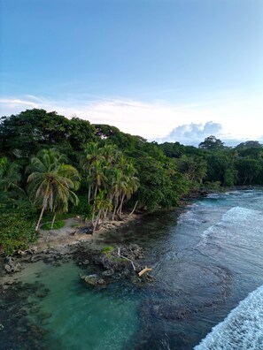 Beach towels - 400 m from Playa Negra, 3 bedrooms with air conditioning, swimming pool (Puerto Viejo de Talamanca)