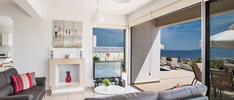 Televisión, chimenea y reproductor de DVD