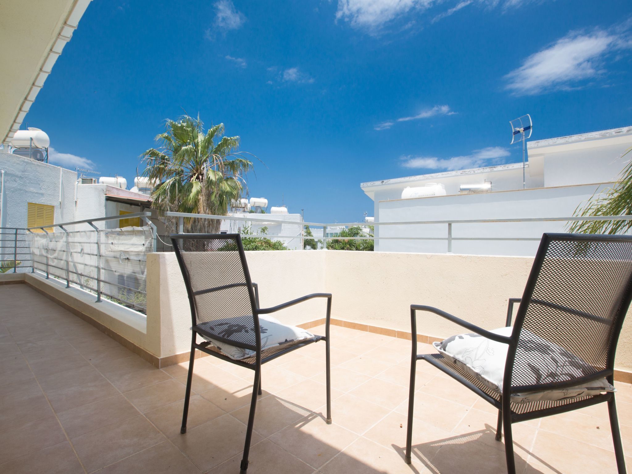 Eine Dachterrasse mit zwei schwarzen Netzstühlen, einer Palme und blauem Himmel.