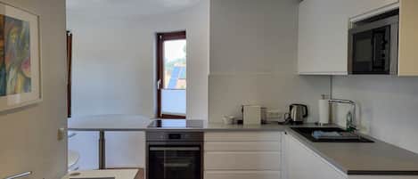 Fridge, microwave, oven, cookware/dishes/utensils