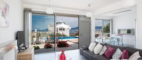 Televisión, chimenea y reproductor de DVD