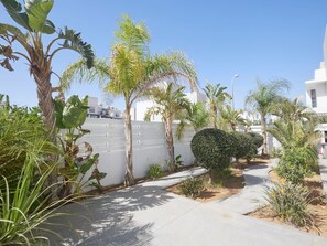 Zona residencial con un sendero pavimentado, palmeras y un muro blanco.