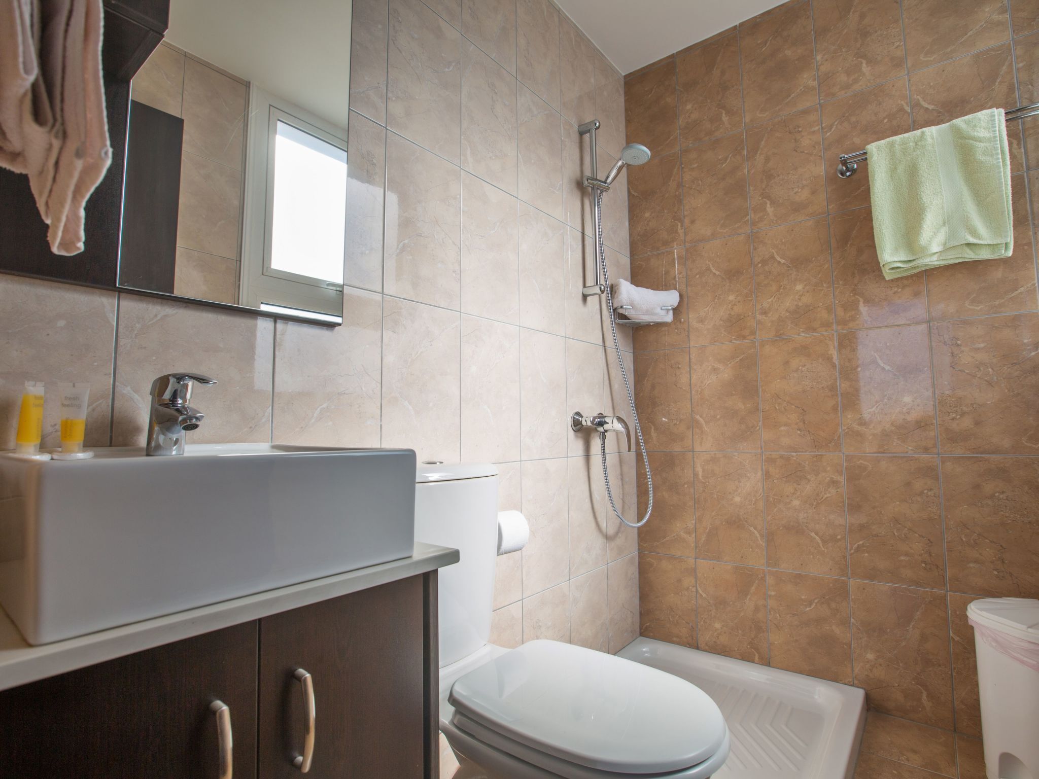 Une salle de bain avec un lavabo, des toilettes et une douche.