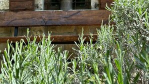 Un edificio in pietra con una finestra dotata di persiane di legno, una pianta in vaso con fiori rossi e un balcone con ringhiera.