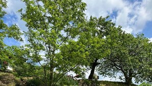 Zona relax all'aperto con tavolo e sedie, vasca idromassaggio e parete in pietra.