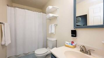 Baño con cortina de ducha, inodoro, lavamanos y espejo que refleja una puerta.