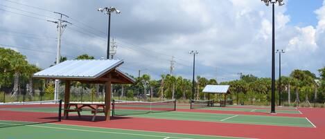 Un court de tennis doté d’un pavillon, entouré de palmiers et de poteaux électriques.