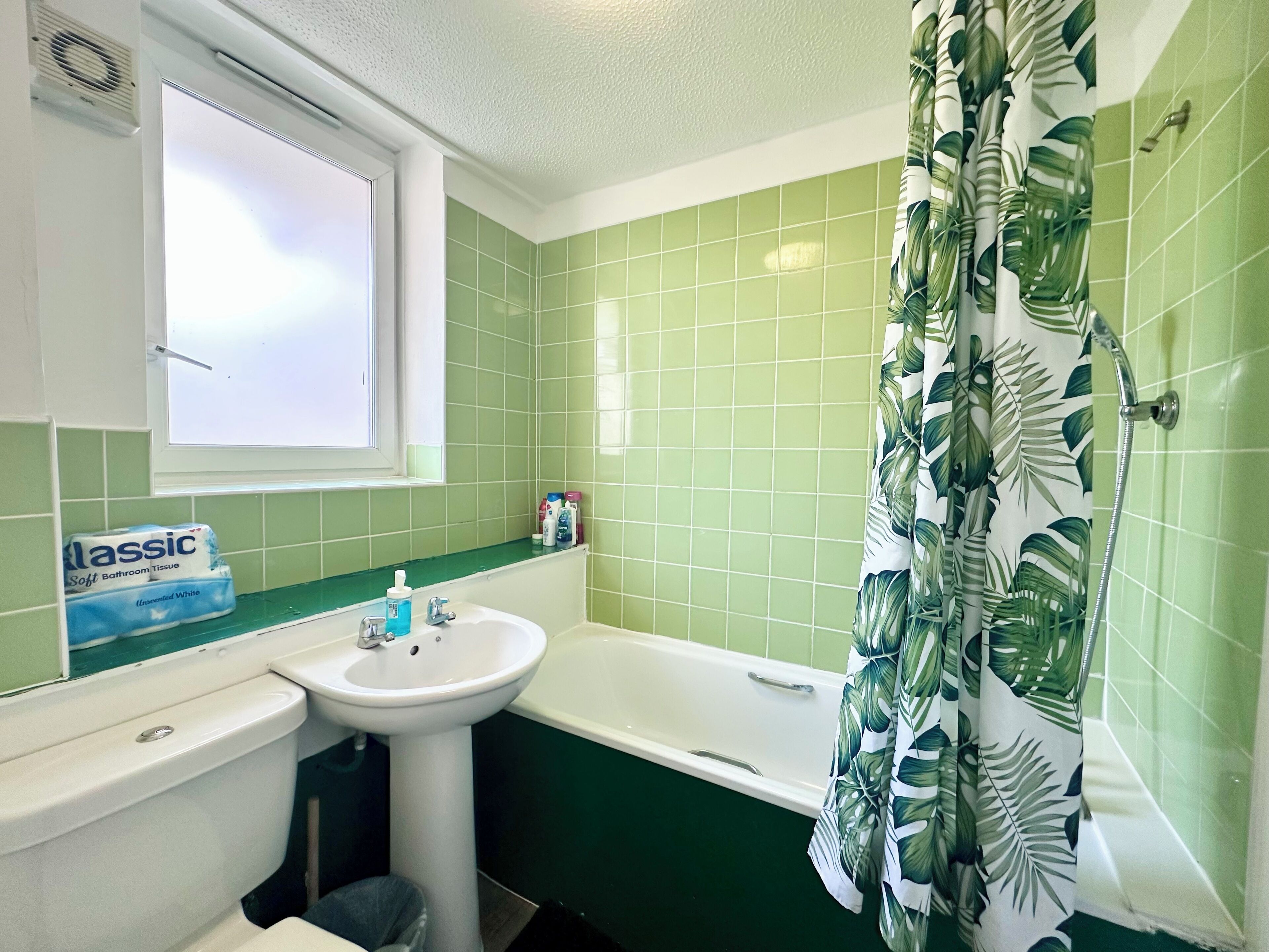 Hair dryer, towels, soap, toilet paper