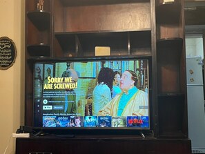 Fernseher